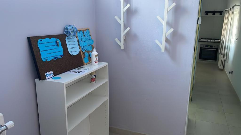 Apartament Azzurra House Marina Di Pisa Zewnętrze zdjęcie